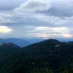 Kamikaze Trail Mt. Teneriffe 08-20-2020