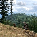 South, Middle, and East Tiger Mountains 08-29-2020