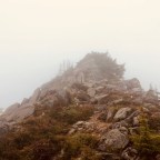 Putrid Pete’s Peak & Mount Defiance 07-01-2018