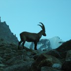 Grand Paradiso – Italy September 11, 2003