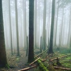 West Tiger #3 Cable Line – Nook Trail Loop 03-08-2022