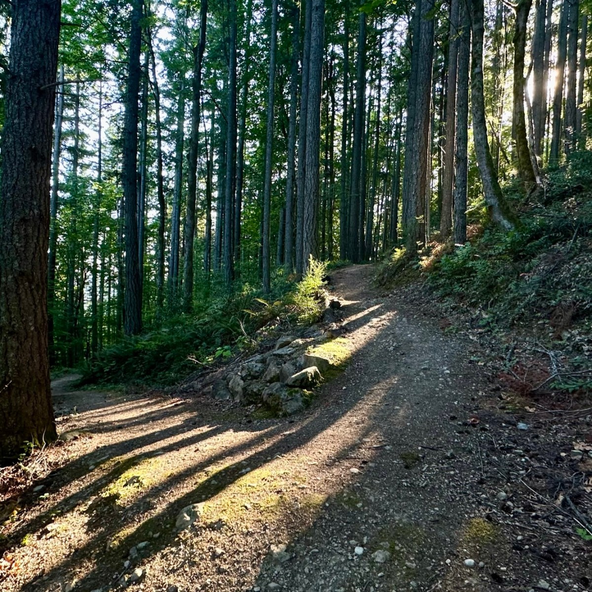 Squak Slam 08-01-2023