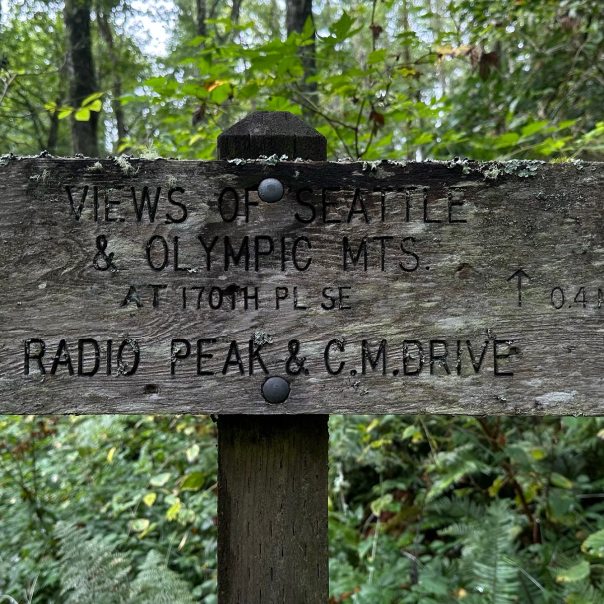 Cougar Mountain East Loop 09-04-2023
