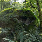 Cougar Mountain Fantastic Erratic Loop 09-21-2023