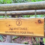 Cougar Mountain Whittaker Trail 07-17-2024